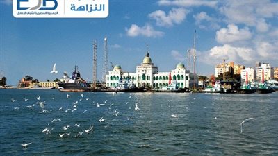 الثلاثاء..«شباب الأعمال»: إقامة ورشة عمل من خلال مبادرة النزاهة