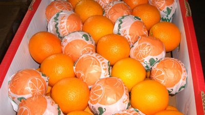 أسعار الفاكهة اليوم الإثنين.. والبرتقال بـ 6 جنيهات