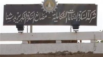 رئيس شركة السكر: نقوم بإنتاج 650 ألف طن سكر سنويا.. ونستورد باقى الكمية لسد العجز