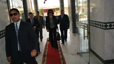 إصدار وثيقة تأمين شاملة لحماية المصريين في الخارج 