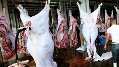 أسعار اللحوم فى الأسواق اليوم.. الضأن ما بين 170 و200 جنيه