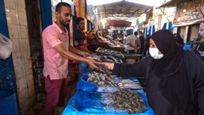 أسعار الأسماك في الأسواق اليوم.. البلطي بـ44 جنيها للكيلو