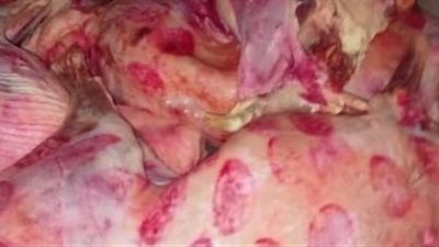 سعر «اللحوم» فى الأسواق اليوم.. و«البرازيلي» بـ130 جنيه