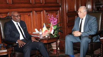 مصر وتشاد تتفقان على تشكيل لجنة فنية لتعزيز التعاون الزراعي المشترك