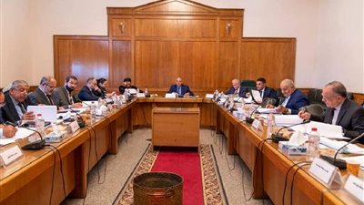 «العليا لتراخيص الشواطئ» تقرر أعمال لعدد من المشروعات القومية والاستثمارية