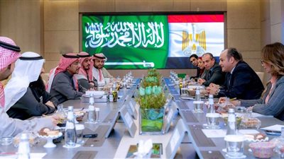 وزير التجارة: 6.12 مليار دولار استثمارات سعودية في السوق المصري