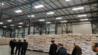 استمرار حملات التفتيش على مخازن ومصانع الأعلاف بمحافظات مصر