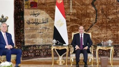 السيسى: مصر تبذل أقصى جهد لدفع مسار الحوار السياسى السلمى فى السودان