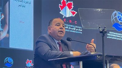 «وزير المالية»: زيادة الإنتاج تؤدى إلى توازن العرض والطلب