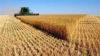 أرباح مطاحن جنوب القاهرة والجيزة ترتفع لـ4 مليون جنيه خلال أبريل