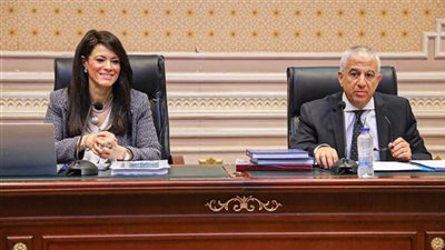 المشاط : 169 مشروعا جاريشا بمنح تنموية قيمتها 3.4 مليار دولار