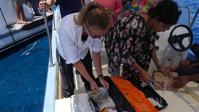 «وزيرة البيئة» تشهد أولى جلسات التدريب العملى لتحليل سلوك القروش بالبحر الأحمر 