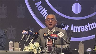 رئيس هيئة الاستثمار: القانون المصري لا يمنع دخول أو خروج العملة الأجنبية 