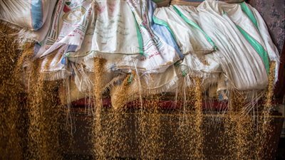 وزير التموين: الاستفادة من صفقة تمويل الإمارات لواردات القمح في يناير المقبل