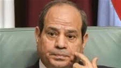 الجالية المصرية بسويسرا تدشن  حملة  لدعم السيسي