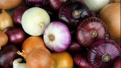 الحكومة تنفي إلغاء قرار إيقاف تصدير البصل