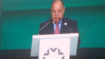 «وزير المالية»: نتطلع لدور أكبر للمؤسسات الدولية فى تحفيز القطاع الخاص للاستثمار