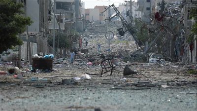 وزيرا خارجية مصر والولايات يبحثان تطورات الأوضاع في غزة