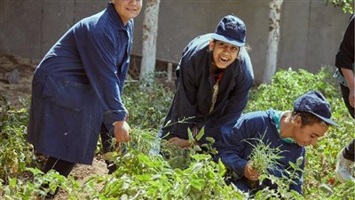   صندوق الاستثمار الخيري لدعم ذوي الإعاقة «عطاء» يوقع عقد شراكة مع جمعية رؤية حياة