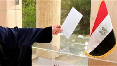 المصريون فى نيوزيلندا يصوتون بانتخابات الرئاسة 10 مساء اليوم بتوقيت القاهرة