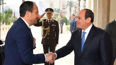 « مصر» و « قبرص » يبحثان  تطورات الوضع في غزة