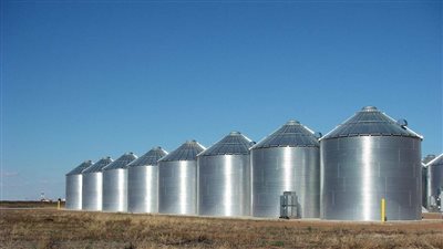 البنك الدولي يقرض مصر 110 ملايين دولار لاستكمال المشروع القومي للصوامع