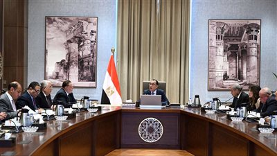 1.3 مليار دولار قيمة السلع الغذائية والأدوية والأعلاف لدي مصر في الجمارك