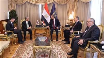 «وزير الاتصالات» يبحث مع كوريا الجنوبية التعاون المشترك فى مجالات التحول الرقمى 