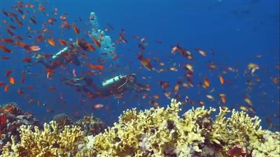 موقع TripAdvisor: الغردقة ثالث أفضل الوجهات الطبيعية للزيارة في العالم