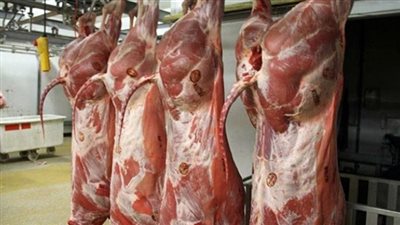 أسعار اللحوم اليوم الأربعاء 29 مايو 2024