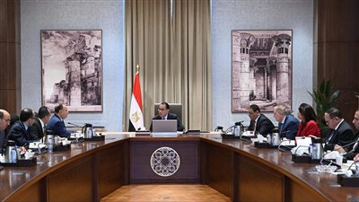 رئيس الوزراء يتابع موقف الإفراج الجمركي عن البضائع وتطبيق منظومة الشحن المُسبق
