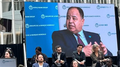 «وزير المالية» :الوضع الاقتصادي فى مصر بدأ يتحسن