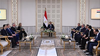 الحكومة  تكشف عن مشروع نرويجي لشراء الأمونيا الخضراء من مصر