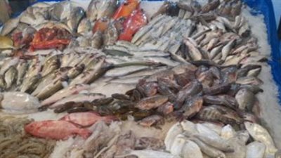 تطورات أسعار الأسماك اليوم فى الأسواق.. البلطي سجل 63 جنيهًا 