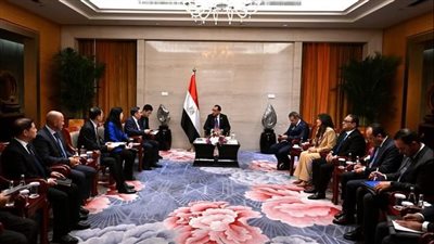 مدبولي يدعو شركة «تشاينا إنرجي» لإنشاء مصانع لتوطين الصناعات المرتبطة بالطاقة المتجددة