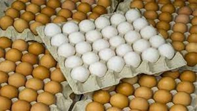 وزير الزراعة: ضخ سلع بتخفيض 25% وكرتونة البيض بـ120جنيها لنهاية أكتوبر