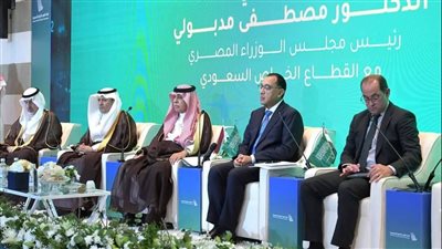 الخطيب : الدولة المصرية حلت 75% من مشاكل المستثمرين السعوديين 