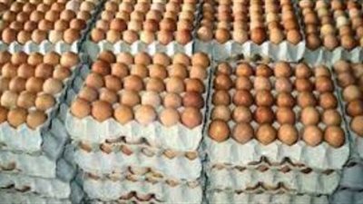 التموين: الاتفاق مع الزراعة ومنتجي الدواجن على طرح طبق البيض بـ150 جنيها