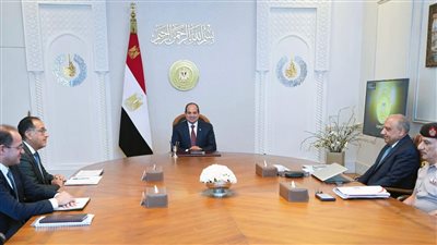 الرئيس السيسي يوجه الحكومة بضرورة مواصلة جهود تحسين خدمات الكهرباء