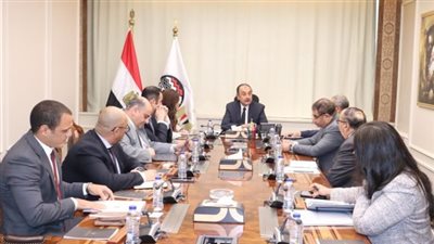 وزير قطاع الأعمال يبحث مع «مايكروسوفت مصر» موقف تطبيق نظام تخطيط الموارد