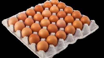 السعر الرسمي :كرتونة البيض للمستهلك تسجل