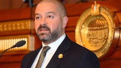 مجلس الشيوخ يرفع الحصانة عن النائب أحمد دياب: 