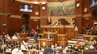 اليوم.. مجلس الشيوخ يناقش المسئولية عن تعويض الأضرار الناجمة عن الأخطاء الطبية