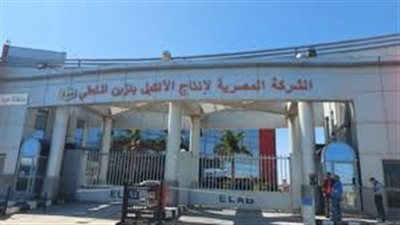 غاز مصر تنفذ مشروع زيادة الطاقة التخزينية للمصرية لإنتاج الألكيل بنزين