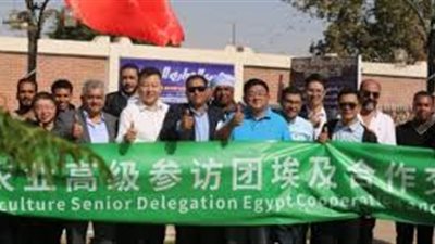 استثمارات مصرية صينية في سوهاج في مجالات التصنيع الغذائي