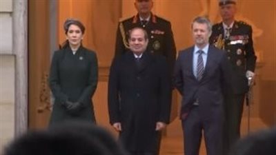 الرئيس السيسي وملك الدنمارك يفتتحان المؤتمر الاقتصادي المصري الدنماركي