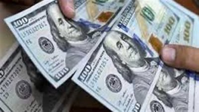 استقرار سعر الدولار أمام الجنيه المصري اليوم 10 ديسمبر 2024
