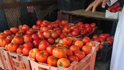 الإحصاء: التضخم السنوى بالمدن المصرية يتراجع إلى 25.5% نوفمبر الماضى