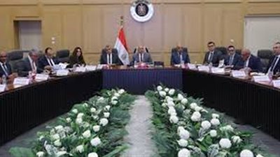 خطة متكاملة لتطوير شركة مصر للألومنيوم باستثمارات 250 مليون دولار