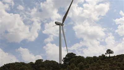 مصر تتفق مع 